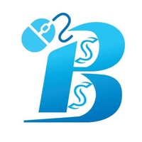 Beta Software Solutions