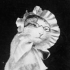 Avatar for Abigail Nickels