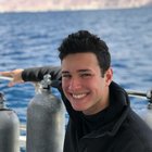 Avatar for Judah Berger