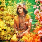Avatar for Manish Reddy