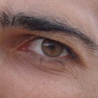 Avatar for Fayçal Fassi-Fihri