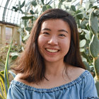 Avatar for Amy Qin