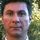 Avatar for Jose Luis Gutierrez