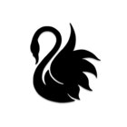 Avatar for Marco A