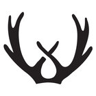 Avatar for Tim Louey