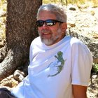 Avatar for Dror Matalon
