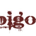 Avatar for Mobigossip Infotech