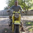 Avatar for Cyrus Zegrati