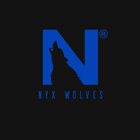 Avatar for NYX WOLVES FREELANCE &amp; BUSINESS SOLUTIONS Pvt. Ltd.