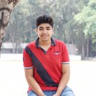 Avatar for Ashish Gogna