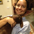 Avatar for Giuliana Schwab