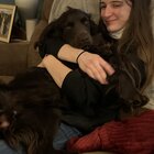 Avatar for Alyssa Cording