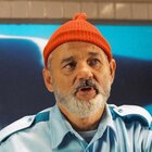 Avatar for Captain Steve