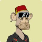 Avatar for Rayan Boutaleb