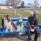 Avatar for Daniel Pierce