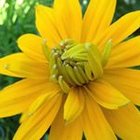 Avatar for Bethe Palmer