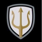 Avatar for Trident Security Solutions