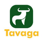Avatar for TAVAGA ADVISORY SERVICES PVT LTD
