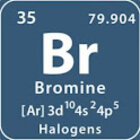 Avatar for Bruno R.F.