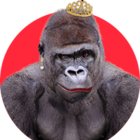 Avatar for Shirly Kohai