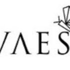 Avatar for Recruitment Avaesa