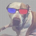 Avatar for Douglas Bernstein