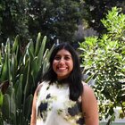 Avatar for Shreya Kapoor