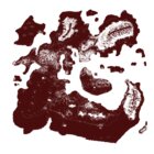 Avatar for Aaron J Santucci