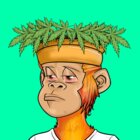 Avatar for King Sol