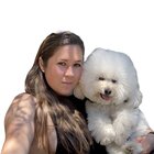 Avatar for Ellen Soria
