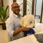 Avatar for Vikas Sekhri