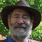 Avatar for Ken Shear