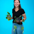 Avatar for Anna Anderson