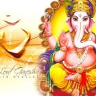 Avatar for Nirali Panchal