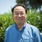 Avatar for Weihong Zhang