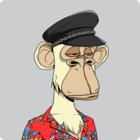 Avatar for Vaibhav Vandra
