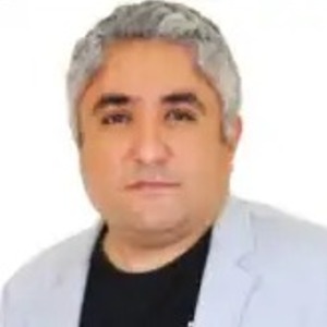 Ahmed Alsaidi