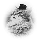 Avatar for Sevastos Mastrogiorgis
