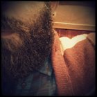 Avatar for Alessandro Mancini
