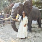 Avatar for Sravani Chilakala