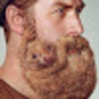 Avatar for Stuart Read