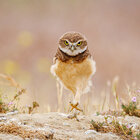 Avatar for Kristana Carlin