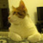 Avatar for Miri Erihov