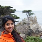 Avatar for Nivedhitha Venkatachalam