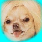 Avatar for Jason Martinez