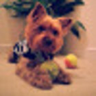 Avatar for Wenny Wu