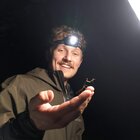 Avatar for William Lepoidevin