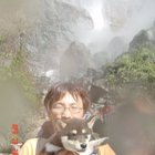 Avatar for Vincent Park