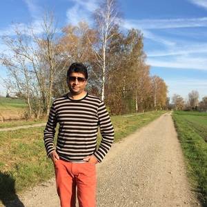 Anand Pareek