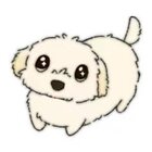 Avatar for Devon Deng